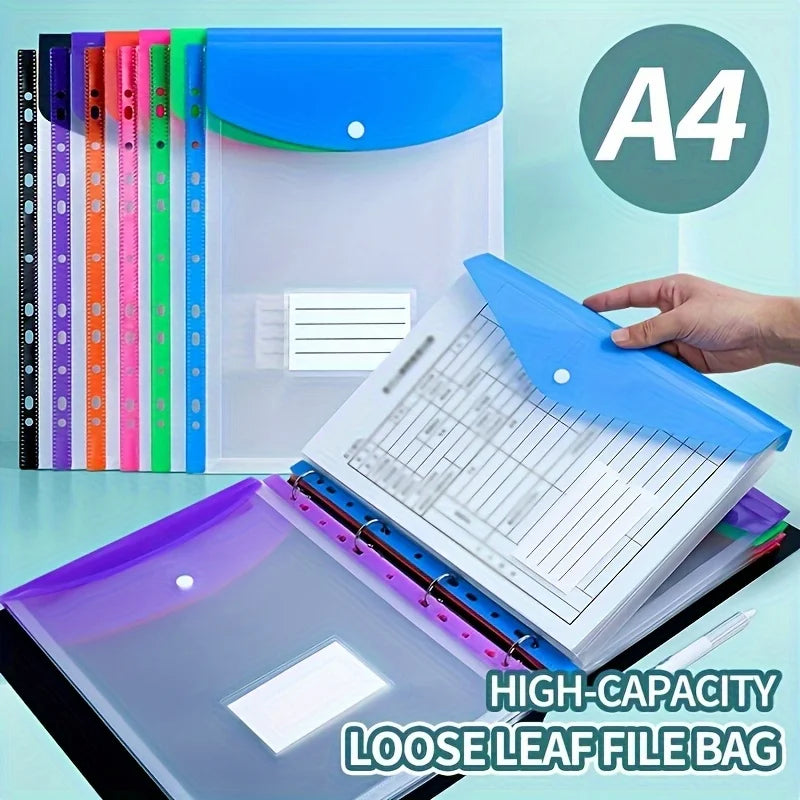 Conjunto de carpetas A4 para organizar documentos